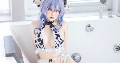 越南Coser Sayo Momo COS图集作品赏析与风格解读